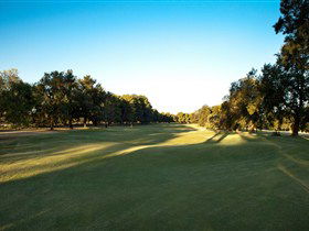 Loxton Golf Club - Pubs Sydney 2