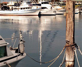 Bermagui Country Club - Pubs Sydney 4