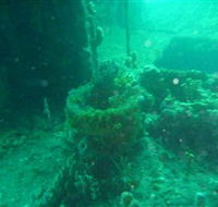 Wallaroo Scuba Club - Pubs Sydney