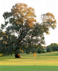 Cowra Golf Club - Pubs Sydney 0