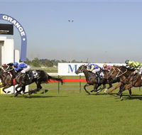 Kembla Grange Racecourse - Illawarra Turf Club - Pubs Sydney