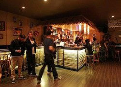 Kongs Jungle Lounge - Pubs Sydney 1