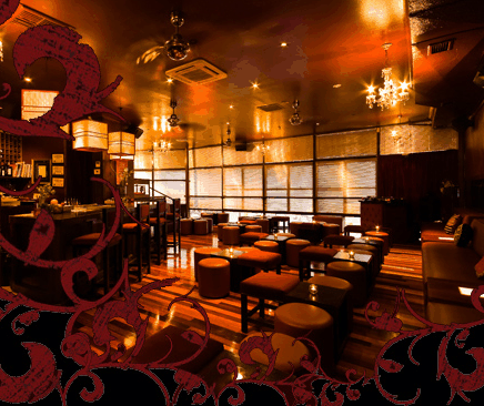 Hippo Lounge Bar - Pubs Sydney