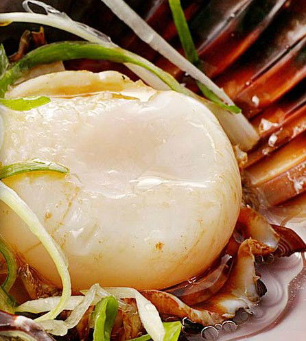 Golden Century Seafood Restaurant - Pubs Sydney 2