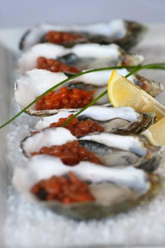 Tha Fish - Pubs Sydney 1