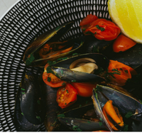 The Italian Diner - Pubs Sydney