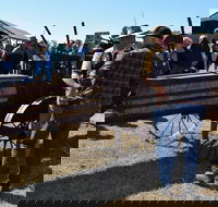 19th Annual Old Wheels In Motion Rally - Pubs Sydney