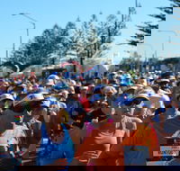 7 Sunshine Coast Marathon - Pubs Sydney