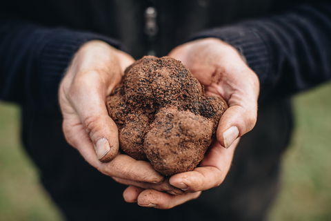 A Taste Of Truffles - Pubs Sydney 0