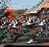 Australian Celtic Festival - Pubs Sydney