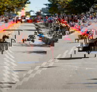 Australian Billy Cart Championships - Pubs Sydney