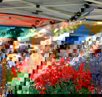 Ballina Missingham Farmers Market - Pubs Sydney