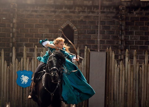 Baroque Horse Festival - Pubs Sydney 0