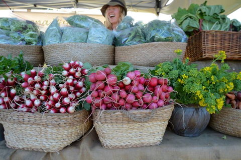 Berry Farmers' Market - Pubs Sydney 0