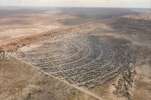 Birdsville Big Red Bash - Pubs Sydney 1