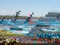 Boxing Day Cruise - Sydney to Hobart Yacht Race