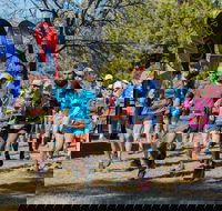 Duval Dam Buster Trail Run - Pubs Sydney