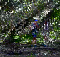 Elephant Trail Race - Pubs Sydney