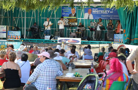 Festival In The Park - Pubs Sydney 0