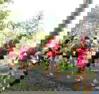 Gladstone Weekly Parkrun - Pubs Sydney