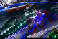 Glass Bottom Boat Tour