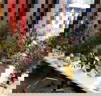 Grampians Wildflower Show - Pubs Sydney