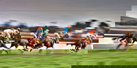 Grafton July Racing Carnival