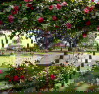 Griffith Spring Fest - Pubs Sydney