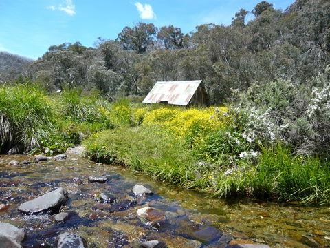Hedonistic Hiking's Falls Creek To Hotham - Pubs Sydney 0
