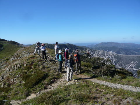 Hedonistic Hiking's Falls Creek To Hotham - Pubs Sydney 1