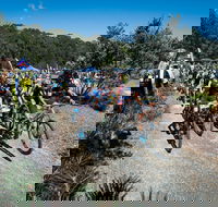 JetBlack Wild Wombat MTB Challenge - Pubs Sydney