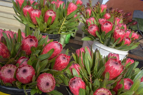 Junee Rotary Farmers Markets - Pubs Sydney 0