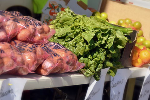 Junee Rotary Farmers Markets - Pubs Sydney 2