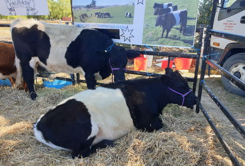 Murrumbateman Field Days - Pubs Sydney 2