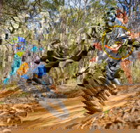 NSW State Downhill Mountain Bike Championships - Pubs Sydney
