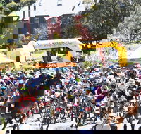 Snowies MTB Festival - Pubs Sydney