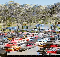 Spring Cruiz In - Pubs Sydney