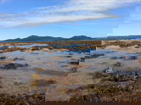 Walk to the Reef
