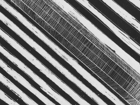 WA Now – Tom Mùller: Monolith Scores - Virtual Exhibition - Pubs Sydney 1