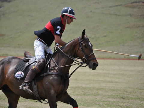 Wirragulla Annual Polo Tournament - Pubs Sydney 0