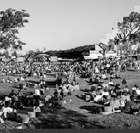 Yours and Owls Festival - Pubs Sydney