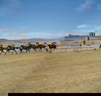Adaminaby Cup Race Day - Pubs Sydney