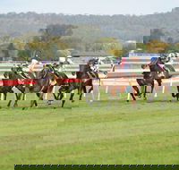 Aggies Race Day - Pubs Sydney