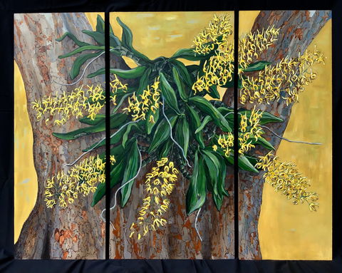 A Still Life - Solo Exhibition  Karen Sedaitis - Pubs Sydney 1