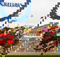 Ballina Boxing Day Races - Pubs Sydney