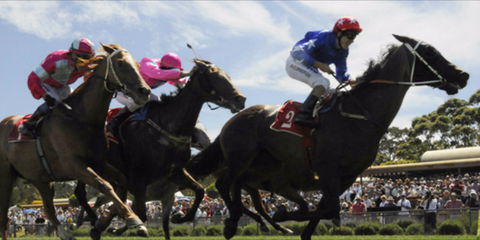 Batemans Bay Cup - Pubs Sydney 0