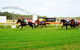 Batemans Bay Cup - thumb 2