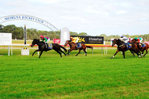 Batemans Bay Cup - Pubs Sydney 2