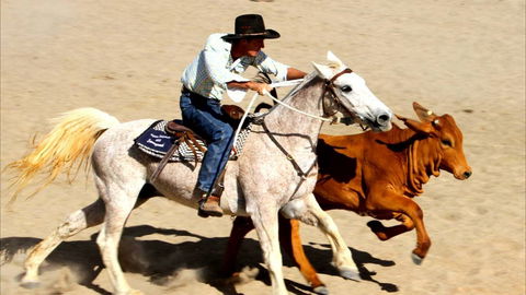 Bedourie Campdraft, Rodeo, Gymkhana - Pubs Sydney 0