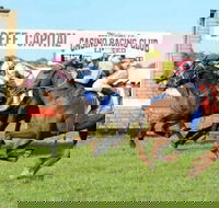Casino Cup - Pubs Sydney